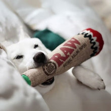 Load image into Gallery viewer, Raw Squeaky Cone Dog Toy